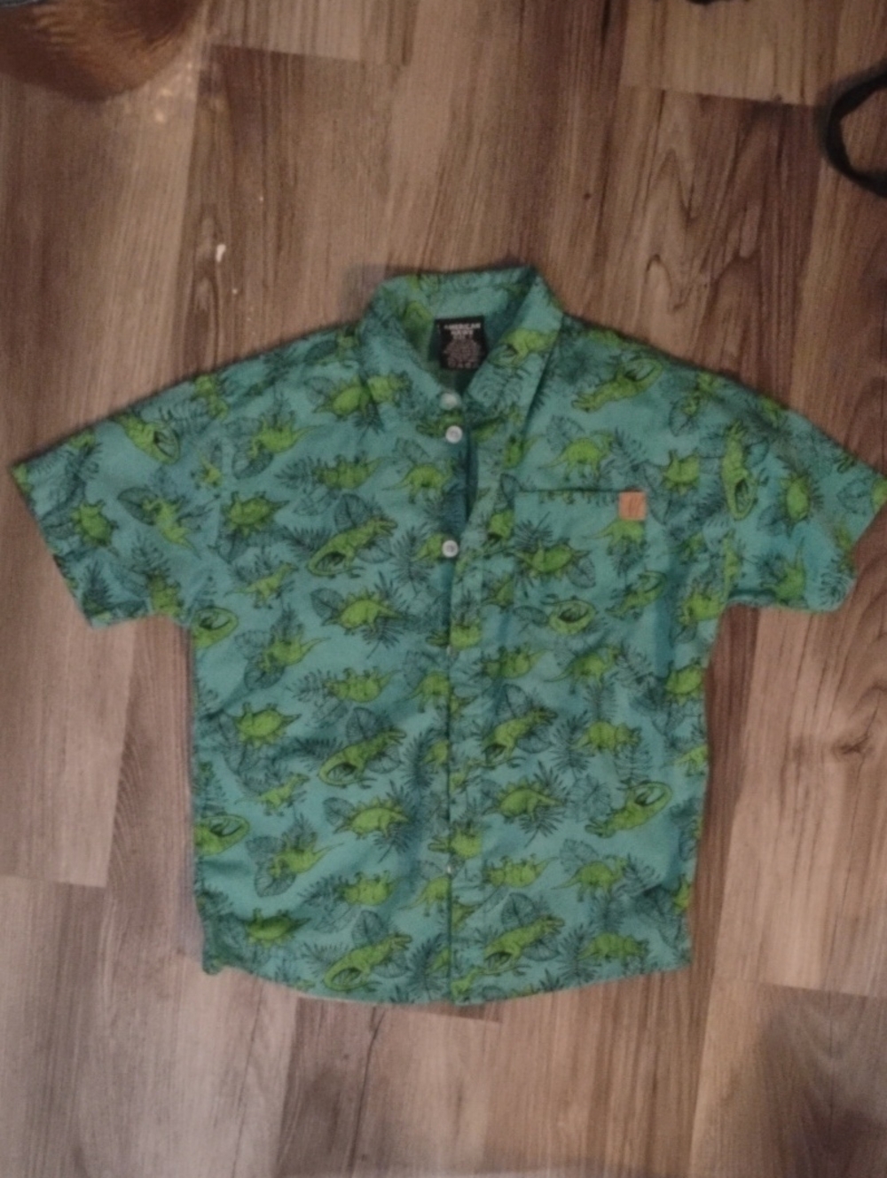 Kids Short-Sleeve Button-Up Shirt with Dinosaur Print - Green